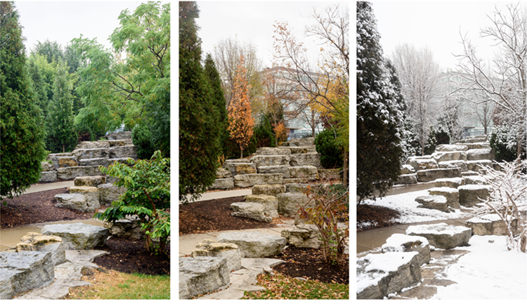 Timelapse of different seasons on the Bloomingdale Trail