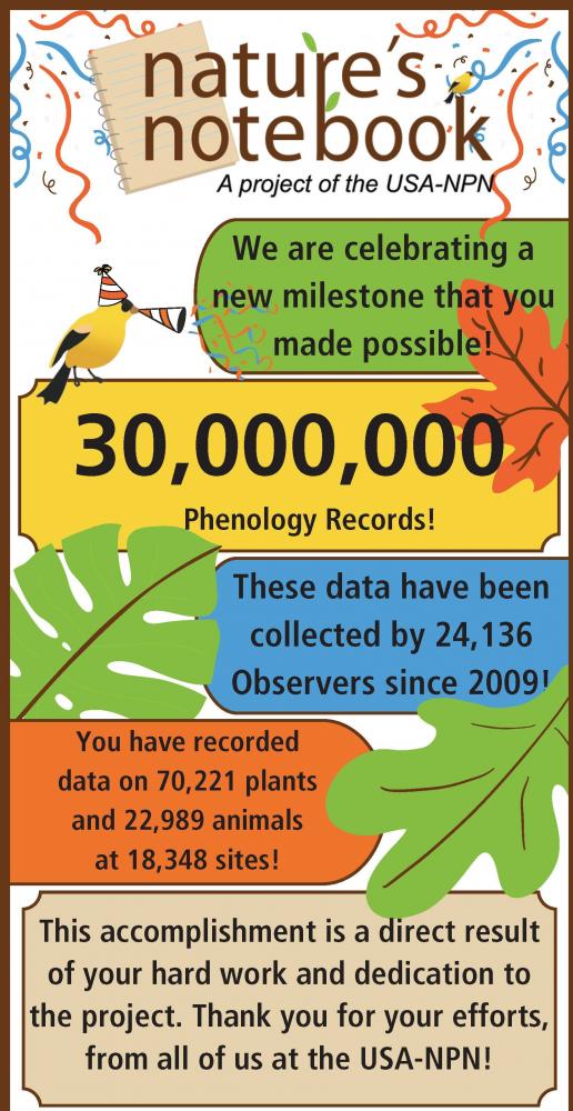 30 Million Records Milestone infographic