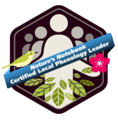 LPL badge
