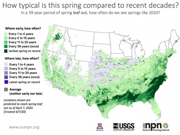 Seasonal story on spring index return interval 2020