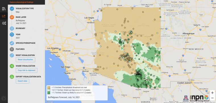 Screencap from USA-NPN Visualization Tool showing Buffelgrass Pheno Forecast