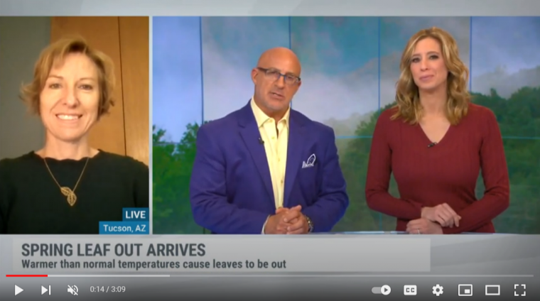 Screencap from spring segment on The Weather Channel