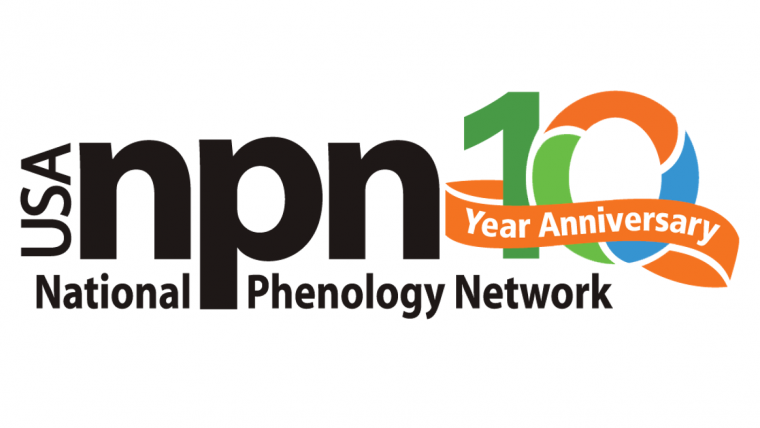 USA-NPN 10 year anniversary logo